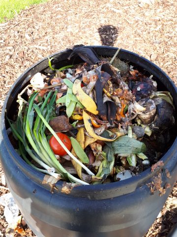 Home composting made easy - CountryLife Blog