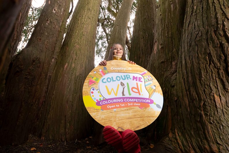 Colour Me Wild mascot Sofía Ní Mhaoldomhnaigh at the launch of OperationWildNation