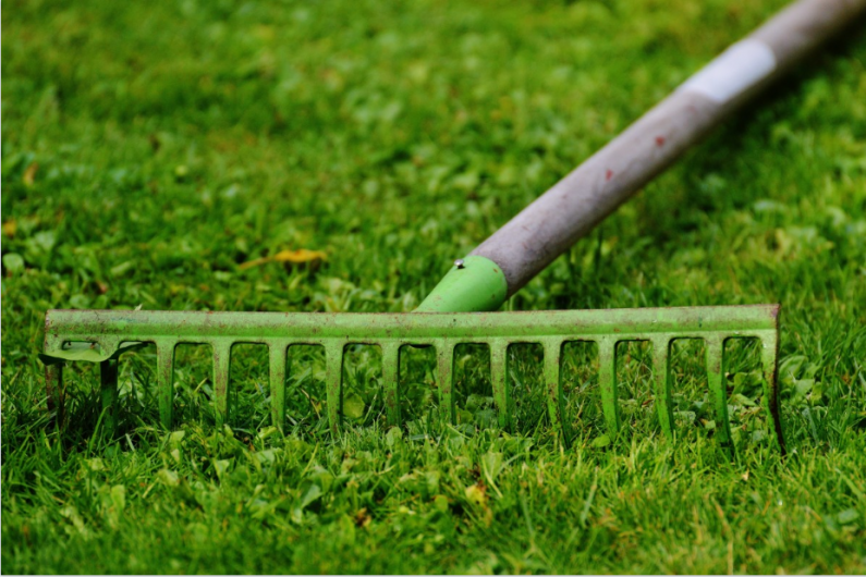 Make a rake your best friend. Image Source: Pxhere.