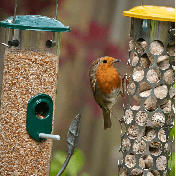 8 Autumn Jobs to get Your Garden Winter Ready CountryLife Blog