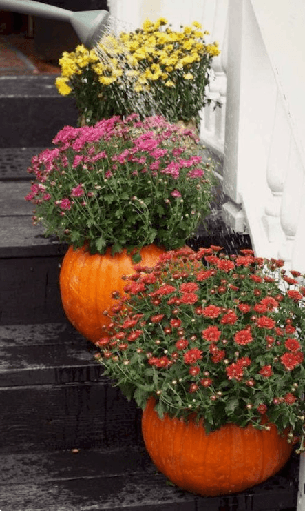 Pumpkin flower pot. Image source: Pinterest.