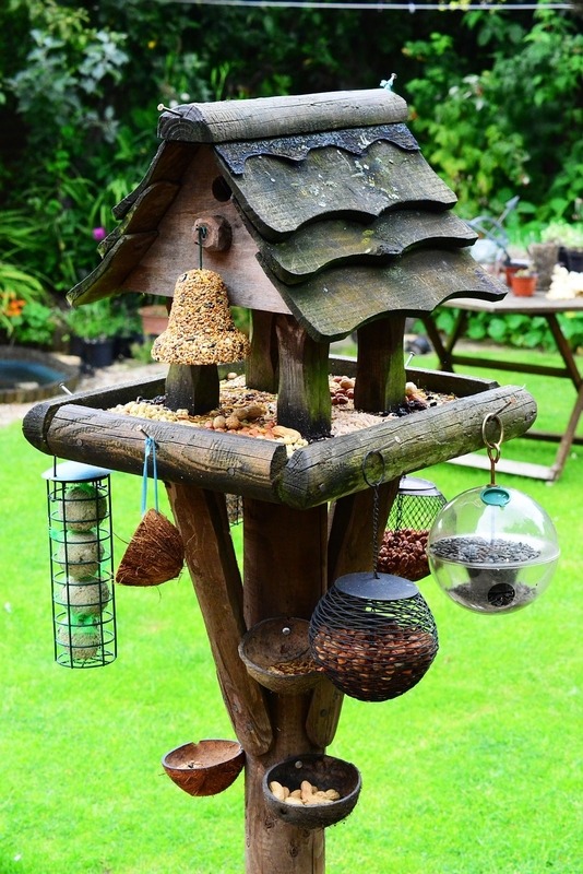 Bird house with different feeding destinations. Image source: Poll