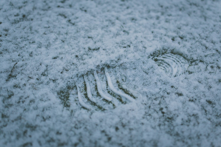 Frosty footprint on grass. Image source: Unsplashed