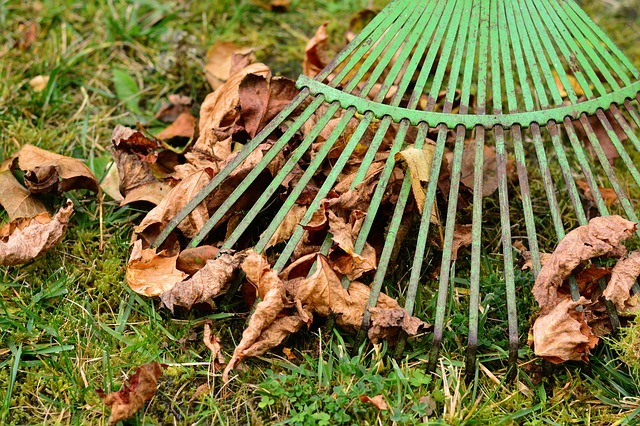 Raking up leaves. Image source: congerdesign from Pixabay