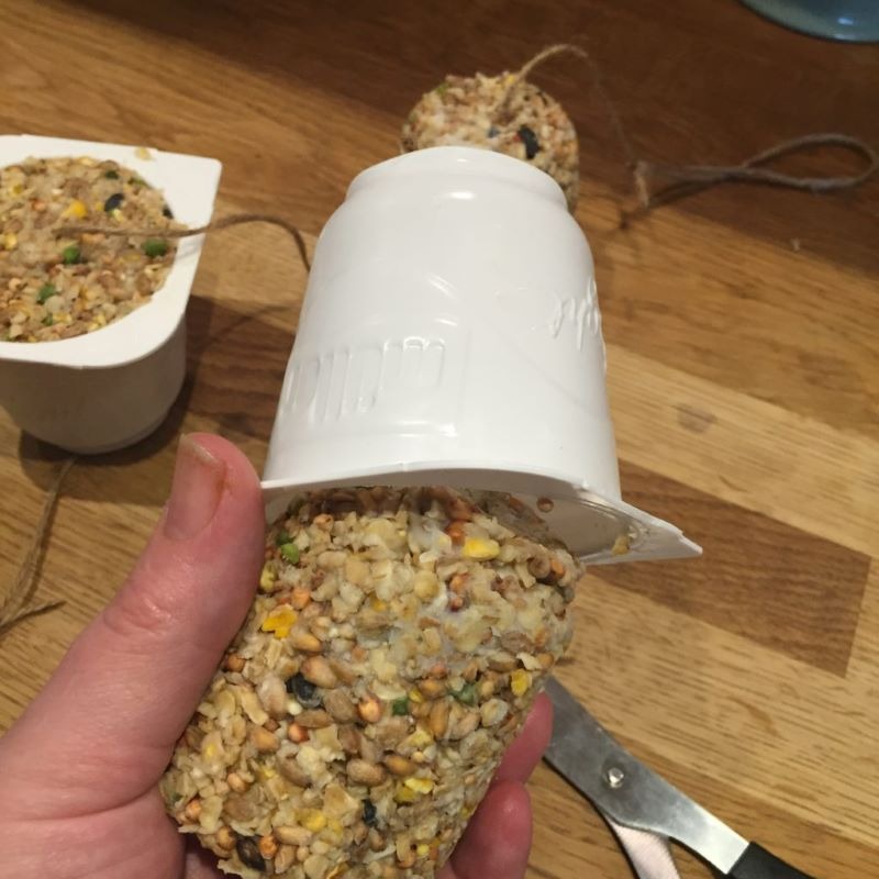Homemade Bird food with Éanna Ni Lamhna CountryLife Blog