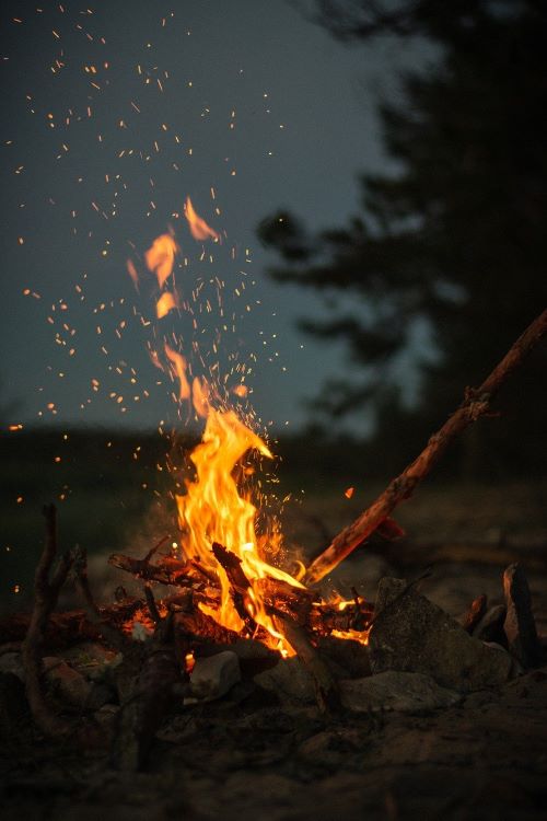 Use the Christmas tree as kindling for a bonfire. Image source: StockSnap from Pixabay