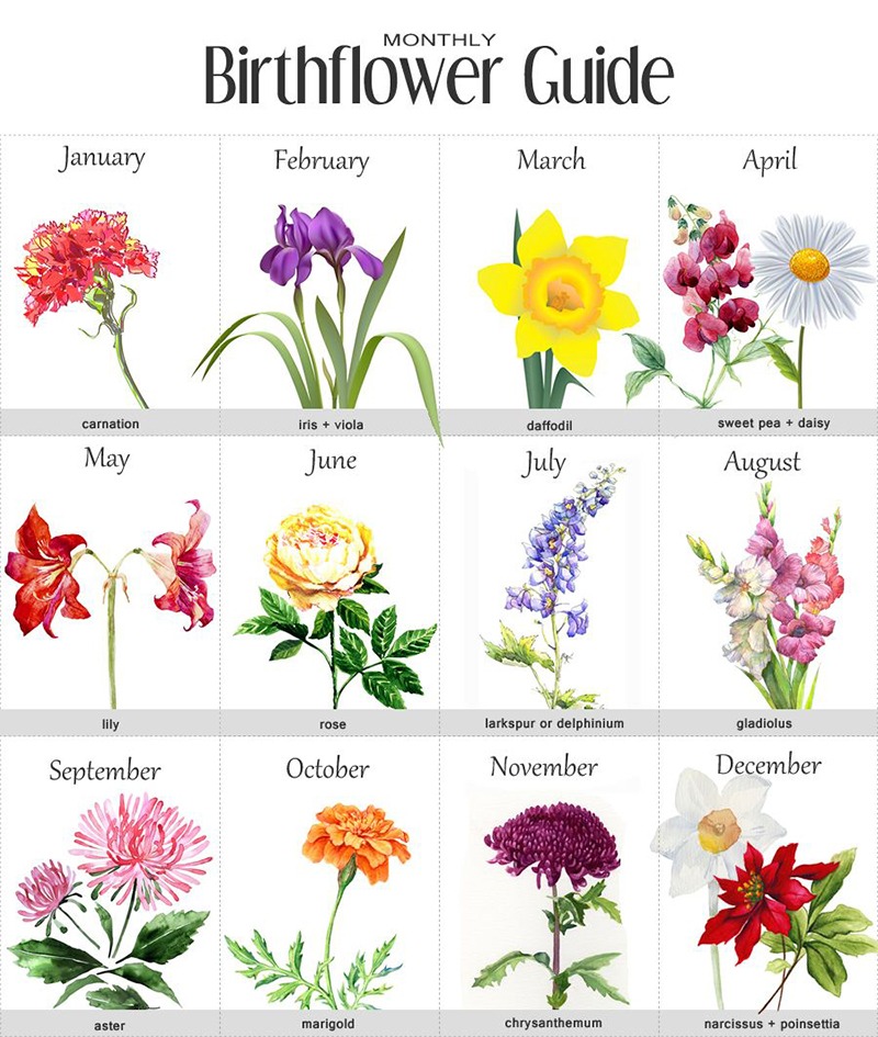 Birth Flowers by Month. Source: Pinterest