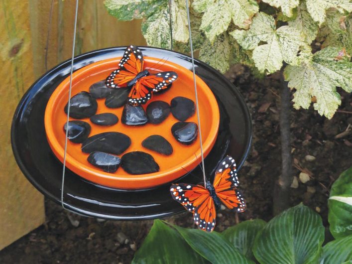 A completed DIY watering hole for pollinators- Source: Pintrest