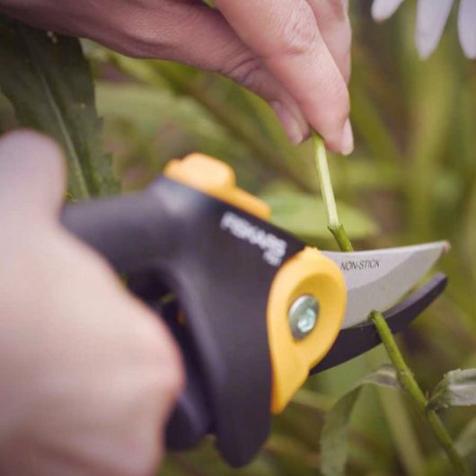 Sometimes the best option is to prune the plant- Source:Fiskars