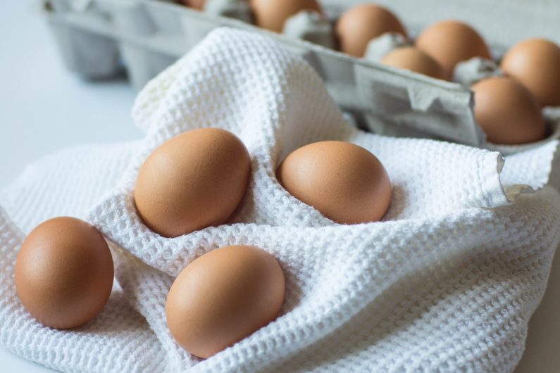 Keeping chickens means fresh eggs every morning- Source: Pixabay