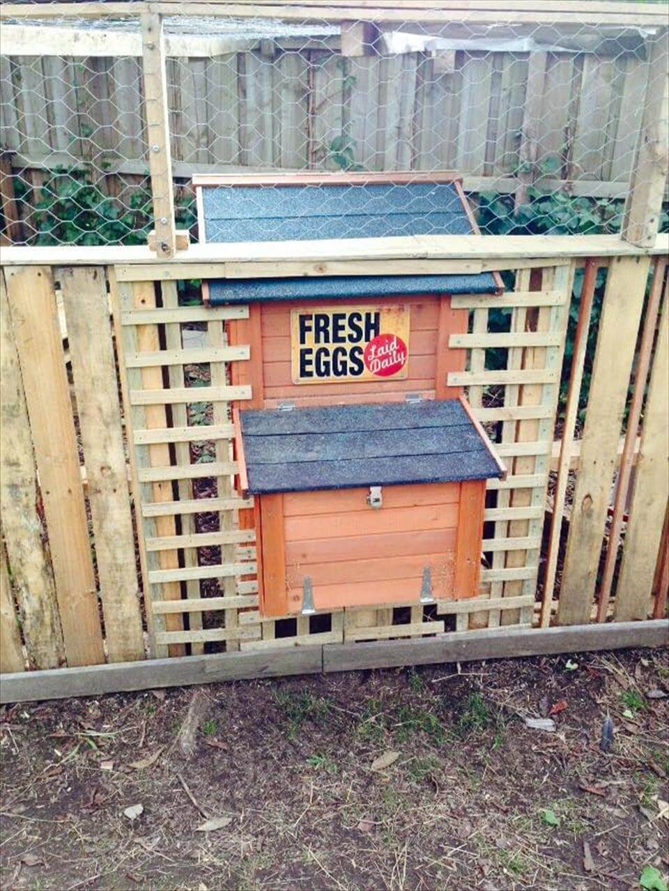 A DIY chicken coop made from pallets- Source: Easy Pallet Ideas