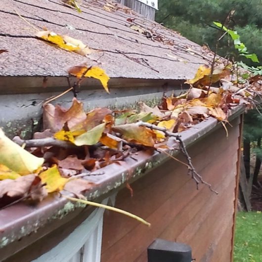 Leaves and debris can build up in your gutter over time. Image source: Flickr
