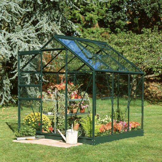 Ventilating your greenhouse on sunny days will prevent fungal problems.