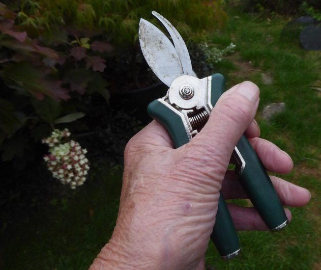 Take your tools out of the shed and make sure they are in good shape, ready for use. Image source: Flickr