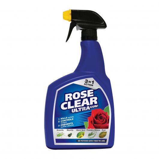 Rose Clear will protect your plants from pests and diseases