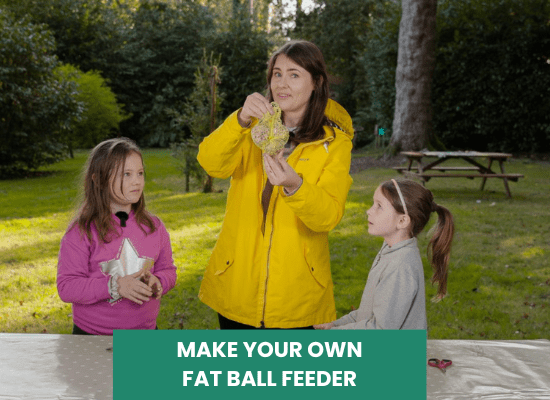 Nature Activity: Make your own fat ball feeder