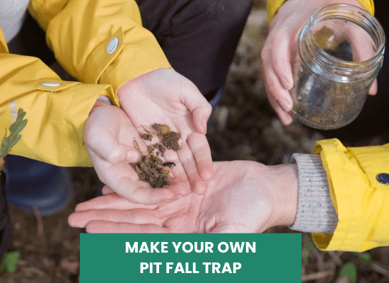 Nature Activity: Make your own pit fall trap