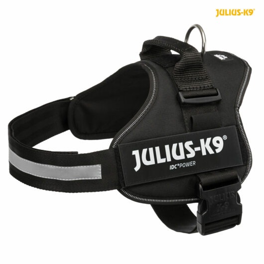 Julius K9 Pet Harness