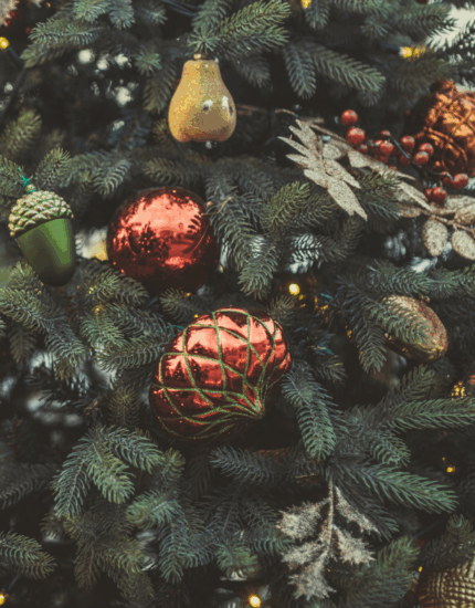 Christmas opening hours and online order cut-offs