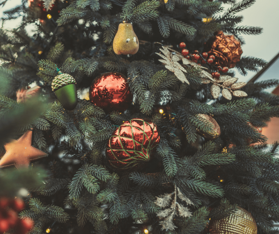 Christmas opening hours and online order cut-offs