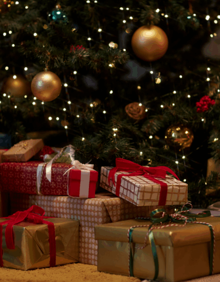 Christmas Gift Guide for Gardeners, DIY & Animal Lovers