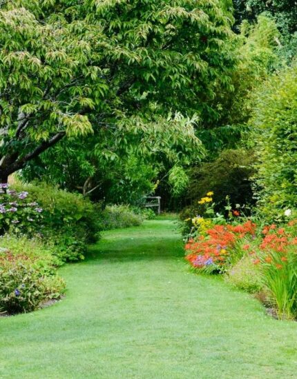 Book a Garden Design Consultation