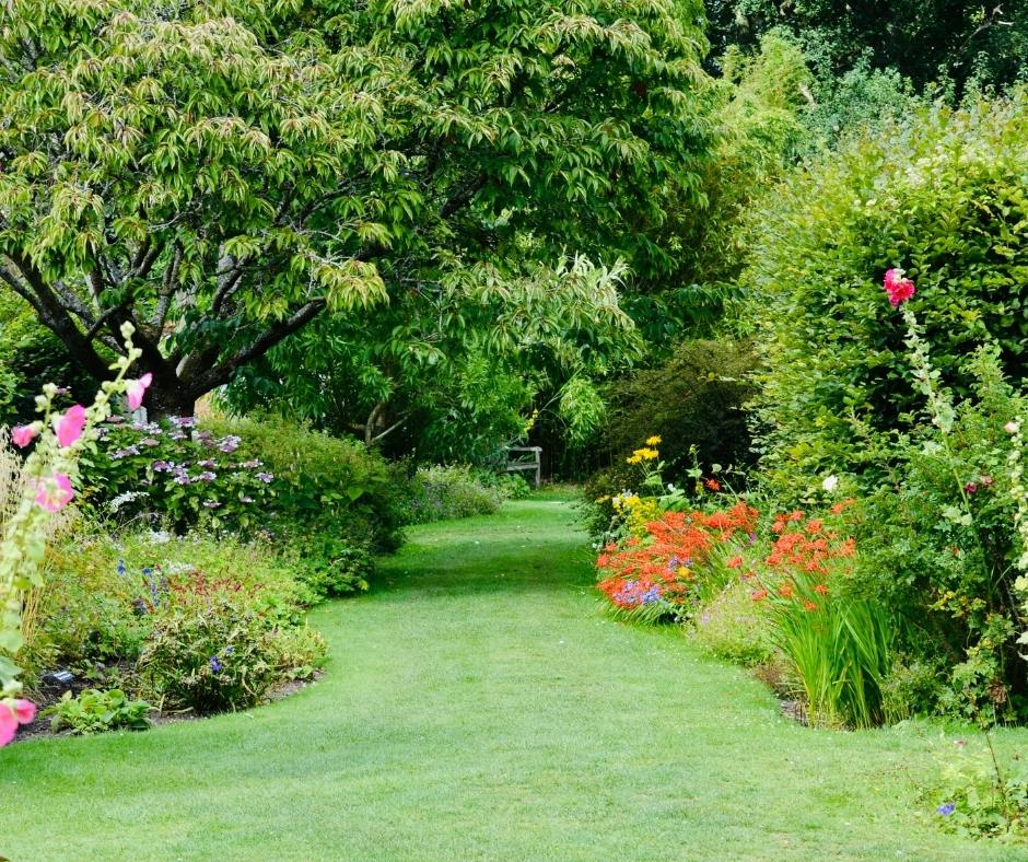 Book a Garden Design Consultation