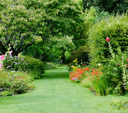 Book a Garden Design Consultation