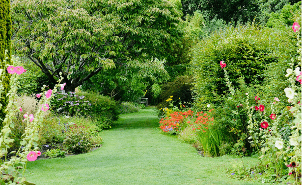 Book a Garden Design Consultation
